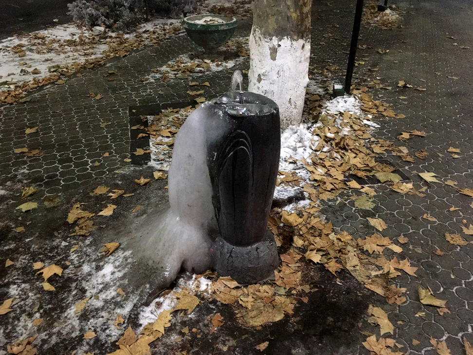 Winter pulpulak