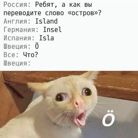 Комментарии из социальных сетей