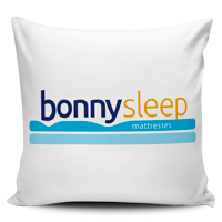 Логотип и фирменный стиль BonnySleep
