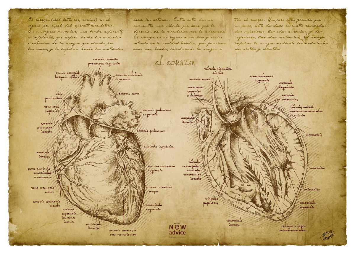 Мечта о кардиологе
